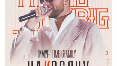 Тимур TIMBIGFAMILY - Накосячу (DJ Flare Remix)