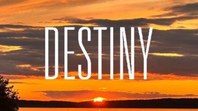 DJ NEGATIVE - DESTINY