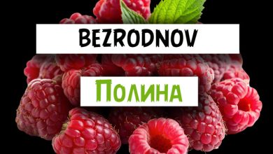 BEZRODNOV - Полина