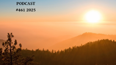 DJ CENCE AUGUST PODCAST #461 #2025