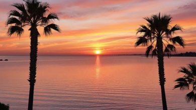 Catherine Flox - Sunset