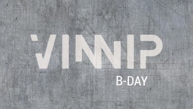 ◖◖◖VINNIP B-DAY MIX 2025