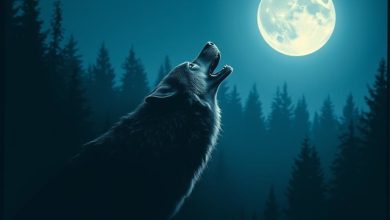 Bearwolf - Один в поле воин(DJ Прозрачный remix)