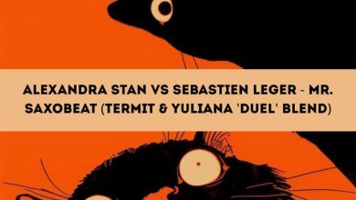 Alexandra Stan vs Sebastien Leger - Mr. Saxobeat (TERMIT & Yuliana 'Duel' Blend)