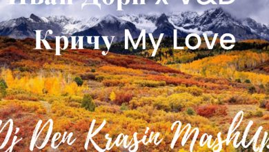 Иван Дорн x V&D - Кричу My Love (Dj Den Krasin MashUp)