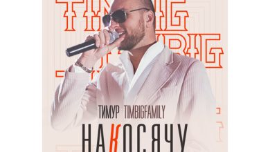 Тимур TIMBIGFAMILY - Накосячу 3 (Hamich Drum Remix)