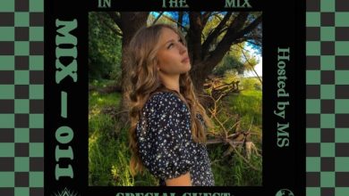 SIBANIUM IN THE MIX #11