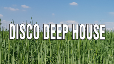 T.L.I. Project — DISCO DEEP HOUSE 2025 #5