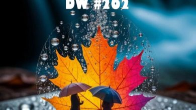 DJ Zharikoff - Deep Weekend #262 #262