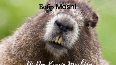 SLAVA SKRIPKA x Franck Dona - Бобр Moshi (Dj Den Krasin MashUp)