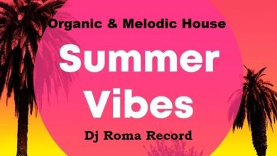 Dj Roma Record - Summer Vibes 2025 (organic)