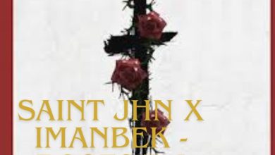 Saint JHN x Imanbek - Roses(DJ Mike remix)