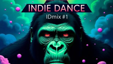 DJ SHVEDOV ID ( Indie Dance) MIX #1