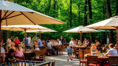 DJ SERGEY SIROP - SUMMER VERANDA 2025 (Live mix@Barviha)