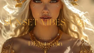 DJ Annegin - Sunset Vibes #26 2025