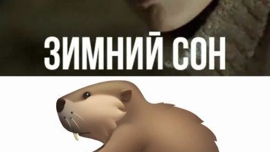АЛСУ X SLAVA SKRIPKA - Зимний Сон X Бобр (DJ Flasher Blend)