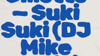 Gillette - Suki Suki(DJ Mike remix)