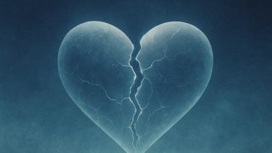DMC Sneg - Broken heart