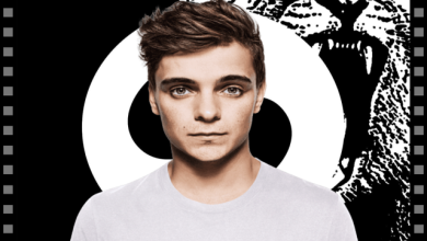 Martin Garrix - Animals (Michael ShwarZ & Insomniac Animals Remix)