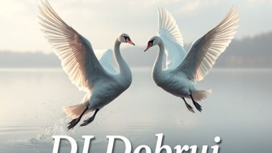 Лебединая верность techno remix (DJ DObrui&BrevAI&Evgenyi Martunov)