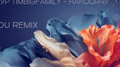 Тимур TIMBIGFAMILY - Накосячу (3LOU Remix)