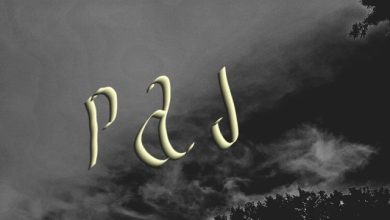 Woinwide - Pad (Preview)