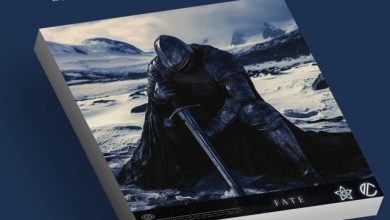 Sibewest — Fate (Лаборатория Русской кибернетики с Александром Киреевым)