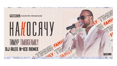 Тимур TIMBIGFAMILY — Накосячу (Dj Alex N-Ice Remix)