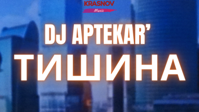 Dj Aptekar' - Тишина