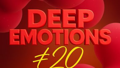 Barskiy DJ - Deep Emotions #20