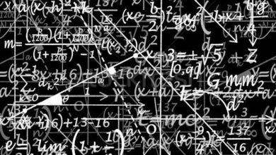 Formula ("Рапан"