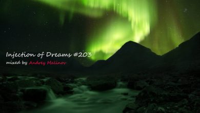 Andrey Malinov - Injection of Dreams #203