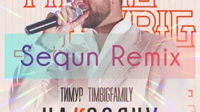 Тимур TIMBIGFAMILY - Накосячу (Sequn Remix)