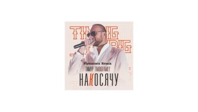 Тимур TIMBIGFAMILY - Накосячу (Flystarnex Remix 2)