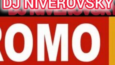 DJ NIVEROVSKY club megamix