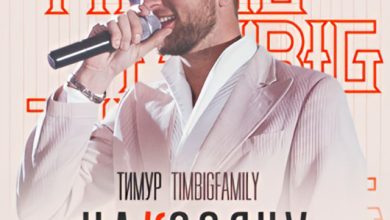Тимур TIMBIGFAMILY - Накосячу (Звёздные Груши Remix)