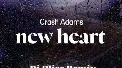 Crash Adams - New Heart (DJ Bliss Remix)