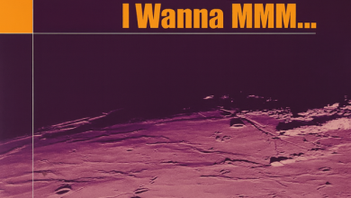 I Wanna mmm (Q.STEPASH.AI