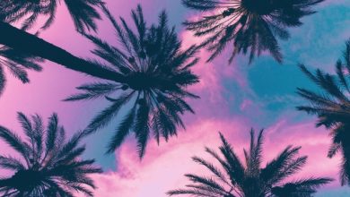 Shemin-Summer Vibes 2025