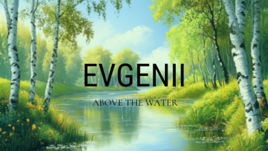 ABOVE THE WATER
