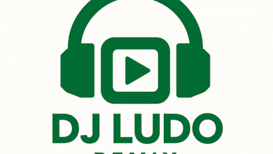 fire (dj ludo remix version)